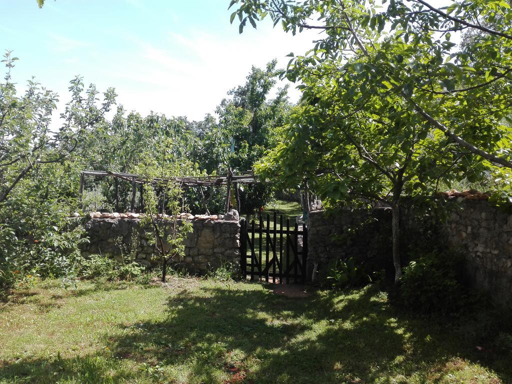 Apartments Hatic Drenje  Dış mekan fotoğraf